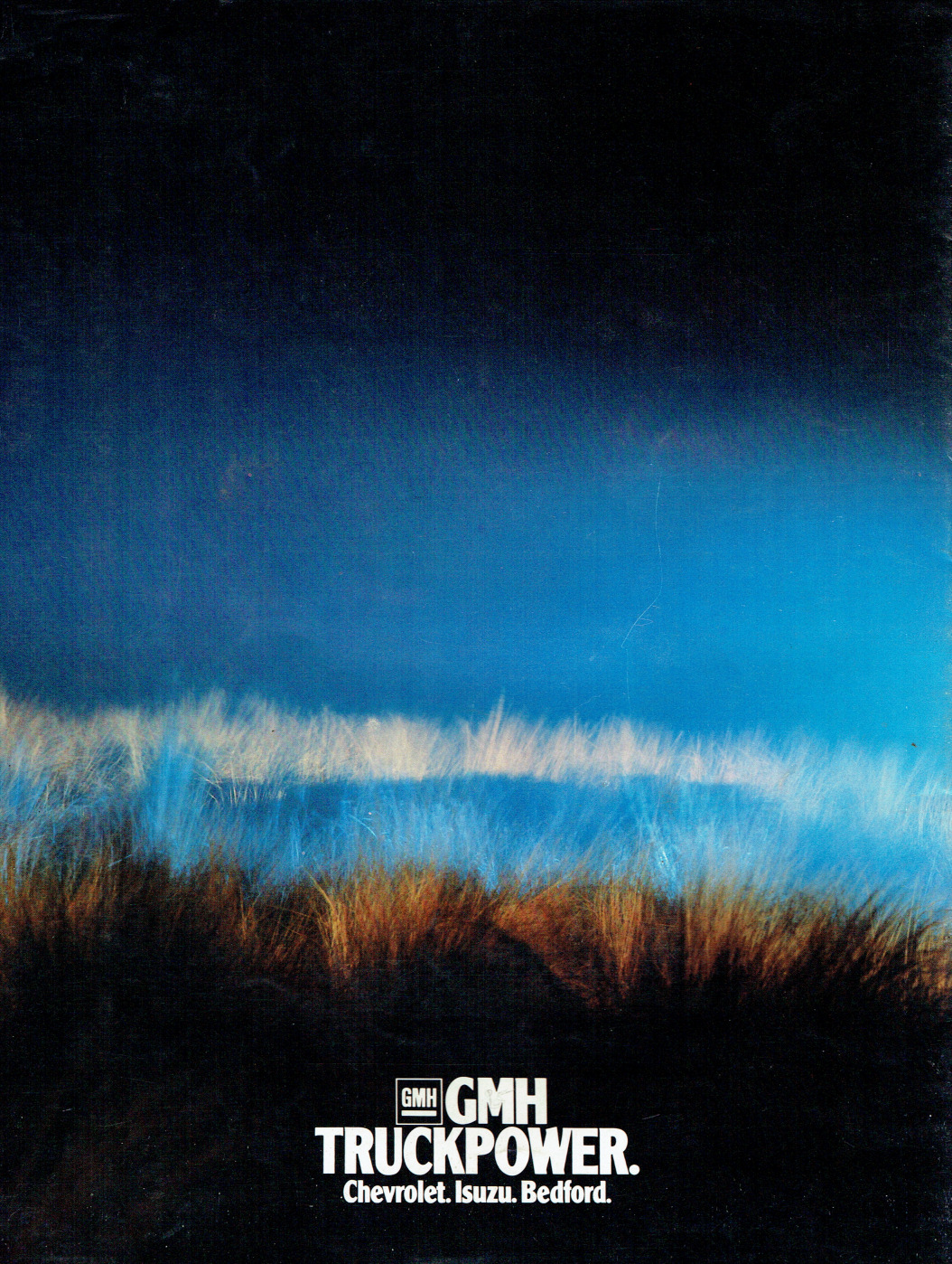 n_1979 Chevrolet V8 Trucks (Aus)-12.jpg